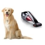 best pet hair vacuums