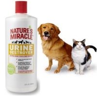 Enzyme Cleaner For Cat And Dog Urine