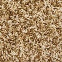 frieze carpet vacuum