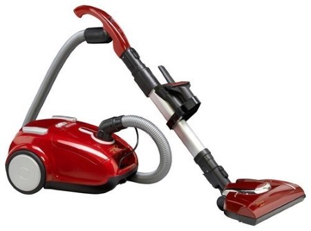 canister vacuums pet hair