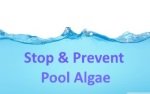 stop algae