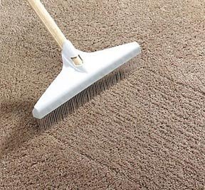 carpet rake for pet hair